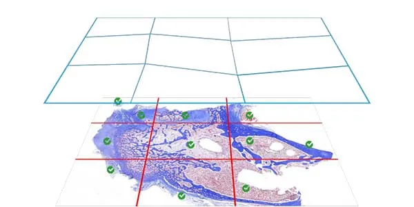 GCell Technology Auto-Focus GCell Technology Auto-Focus